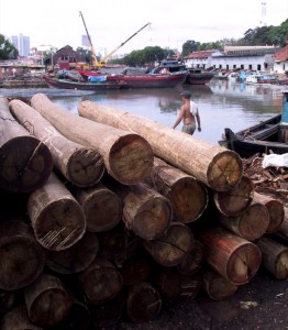2001_08_Malaysia_Melaka_Illegal_Sourced_Logs_01