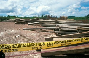 Illegal timber seized on the Malaysian border of Indonesia in August 2005 (c) EIA