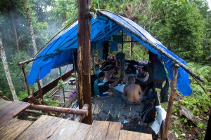 Forest look-out post in Muara Tae (c) EIA