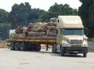 Log truck en route to Beira, Mozambique, September 2012 (c) EIA