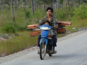 Man transporting rosewood & a saw (c) EIA