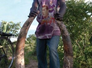 Open Season - tusks for sale in Katete, Zambia - credit EIA