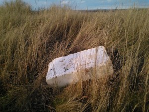 Polystyrene box оn Blakeney Marshes © J Lonsdale